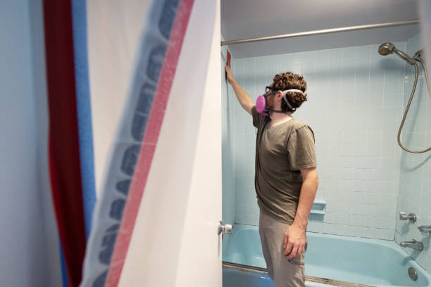 Best Mold Odor Removal Services  in Fanwood, NJ