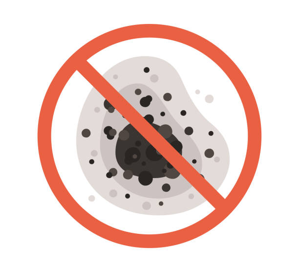 Professional Mold Removal in Fanwood, NJ